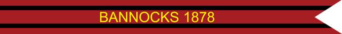 Bannocks 1878 U.S. Army Campaign Streamer